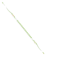 Warrior Schläger Alpha Deluxe White Youth