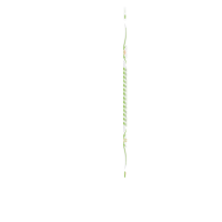 Warrior Schläger Alpha Deluxe White Youth